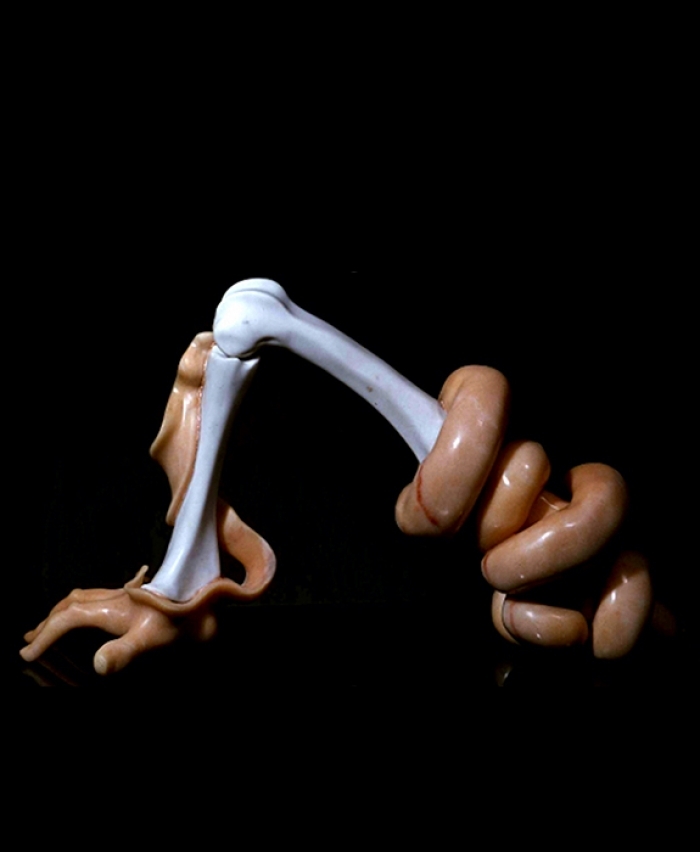 Claude Cehes Bildhauerei - Das Arm