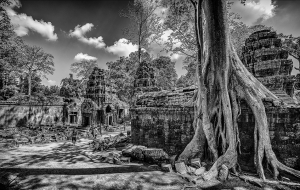 Zeitgenössischen fotographischen Werke - Alter Buddha-Tempel in dichtem Dschungel