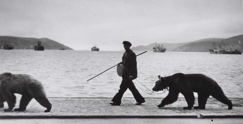 Brassaï Fotographie - Montreur d’ours au long du bosphore 1953