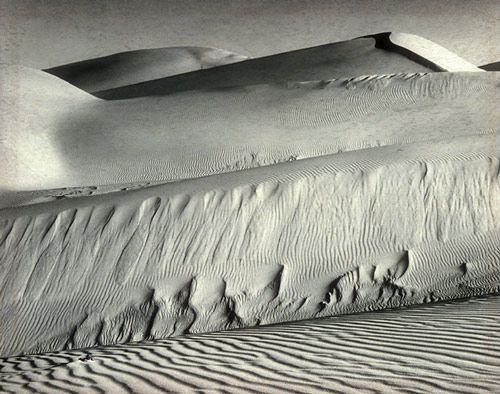 Edward Henry Weston Fotographie - Weiße Dünen Ozean 1936