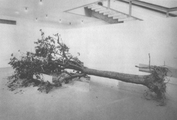 Robert Smithson Installationskunst - Toter Baum 1969
