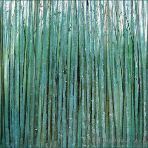 Zeitgenössische chinesische Kunst - Bambuswald