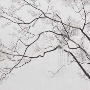 zeitgenössische kunst von Lian Xueming - Zweig im Wald