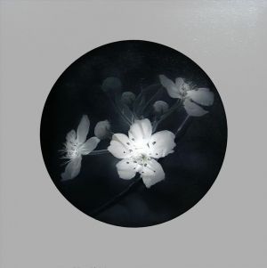 zeitgenössische kunst von Yang Xun - Reine Birnenblüte