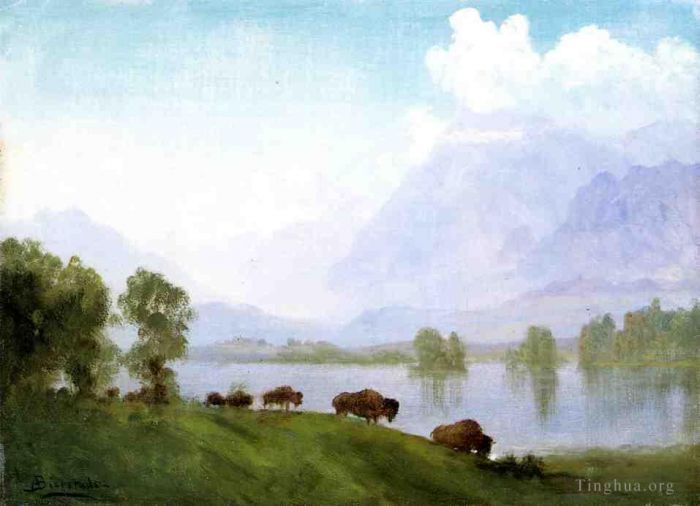 Albert Bierstadt Ölgemälde - Büffelland