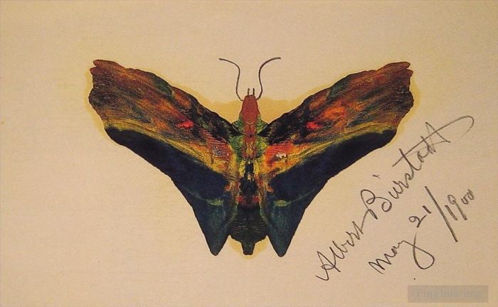 Albert Bierstadt Ölgemälde - Schmetterlingsvluminismus