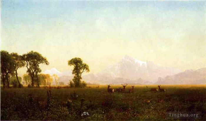 Albert Bierstadt Ölgemälde - Hirsche weiden im Grand Teton Wyoming
