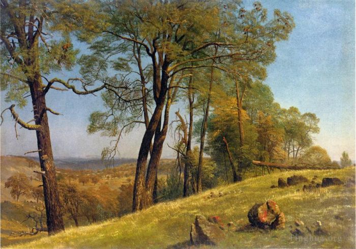 Albert Bierstadt Ölgemälde - Landschaft Rockland County, Kalifornien