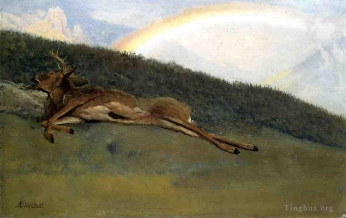 Albert Bierstadt Ölgemälde - Regenbogen über einem gefallenen Hirsch-Luminismus