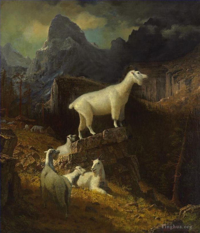 Albert Bierstadt Ölgemälde - Rocky Mountain Ziegen
