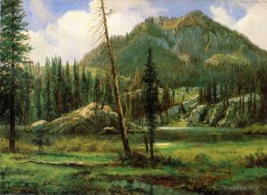 Albert Bierstadt Werk - Berge der Sierra Nevada
