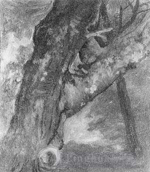 Albert Bierstadt Ölgemälde - Studie eines Baumluminismus