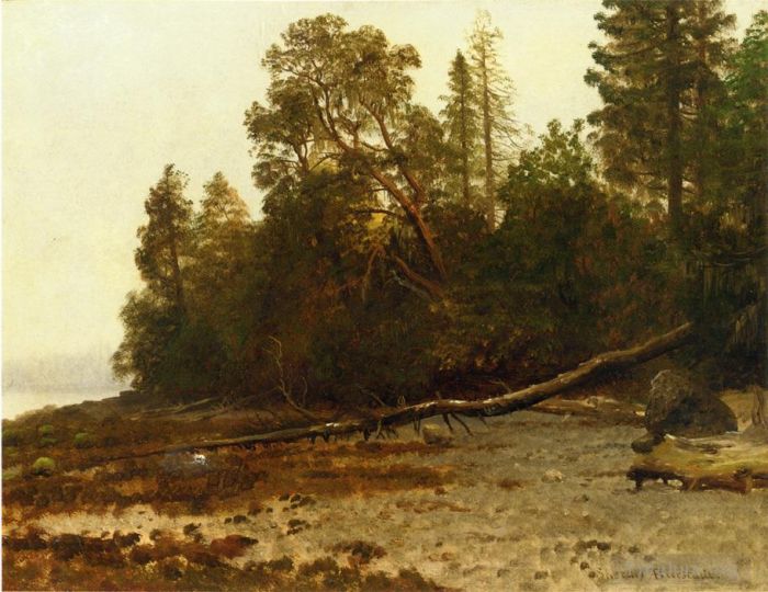 Albert Bierstadt Ölgemälde - Der umgestürzte Baum