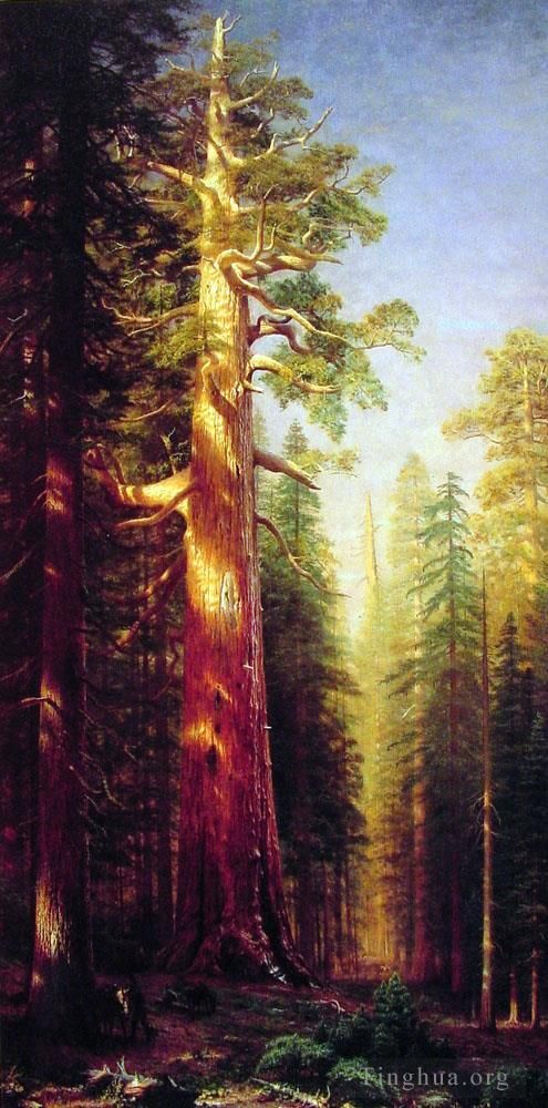 Albert Bierstadt Ölgemälde - Die großen Bäume