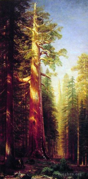 Albert Bierstadt Werk - Die großen Bäume