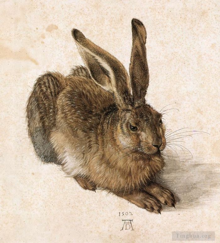 Albrecht Dürer Andere Malerei - Ein junger Hase