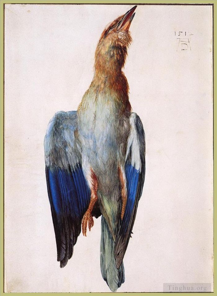 Albrecht Dürer Andere Malerei - Toter Bluebird