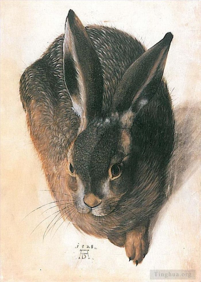 Albrecht Dürer Andere Malerei - Hase