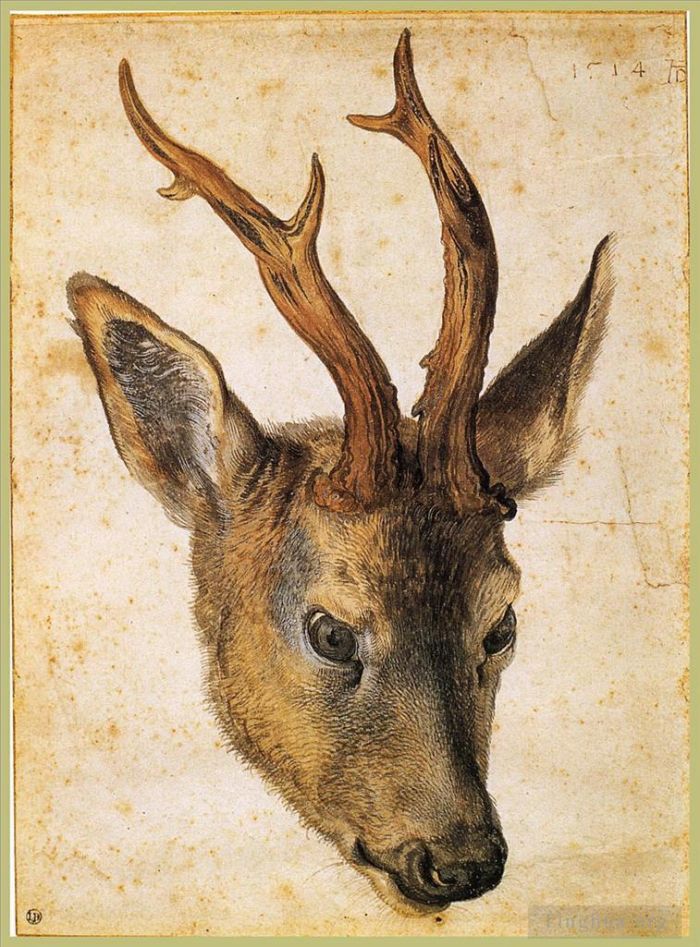 Albrecht Dürer Andere Malerei - Kopf eines Hirsches
