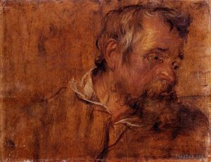 Sir Anthony van Dyck Werk - Profilstudie eines bärtigen alten Mannes