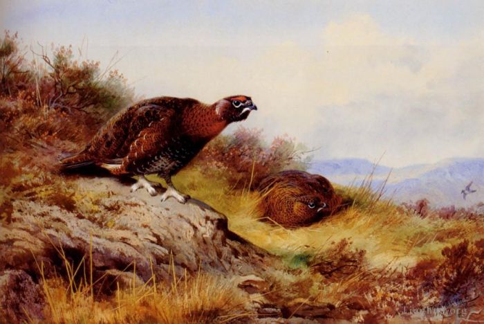 Archibald Thorburn Ölgemälde - Moorschneehuhn auf dem Moor