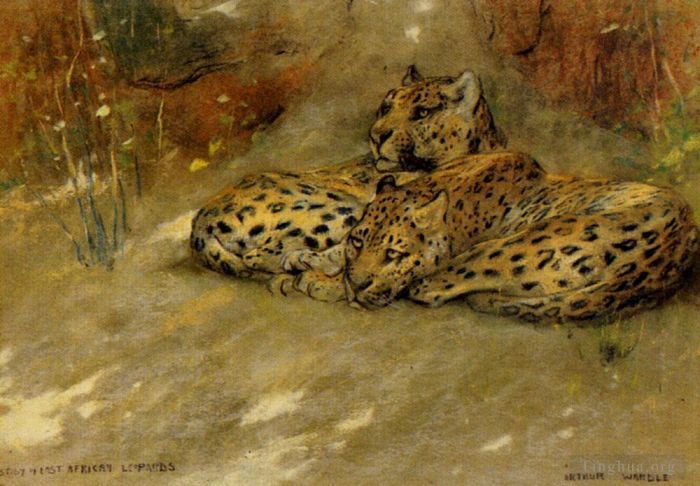 Arthur Wardle Ölgemälde - Studie über ostafrikanische Leoparden