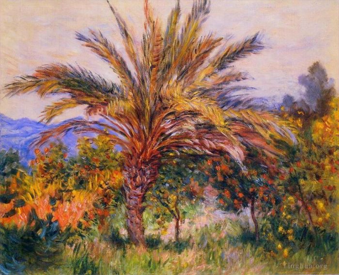 Claude Monet Ölgemälde - Eine Palme in Bordighera