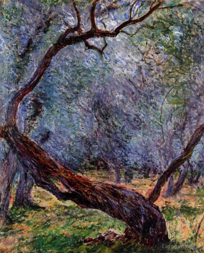 Claude Monet Ölgemälde - Studium der Olivenbäume