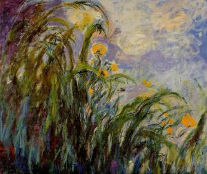 Claude Monet Werk - Gelbe Schwertlilien