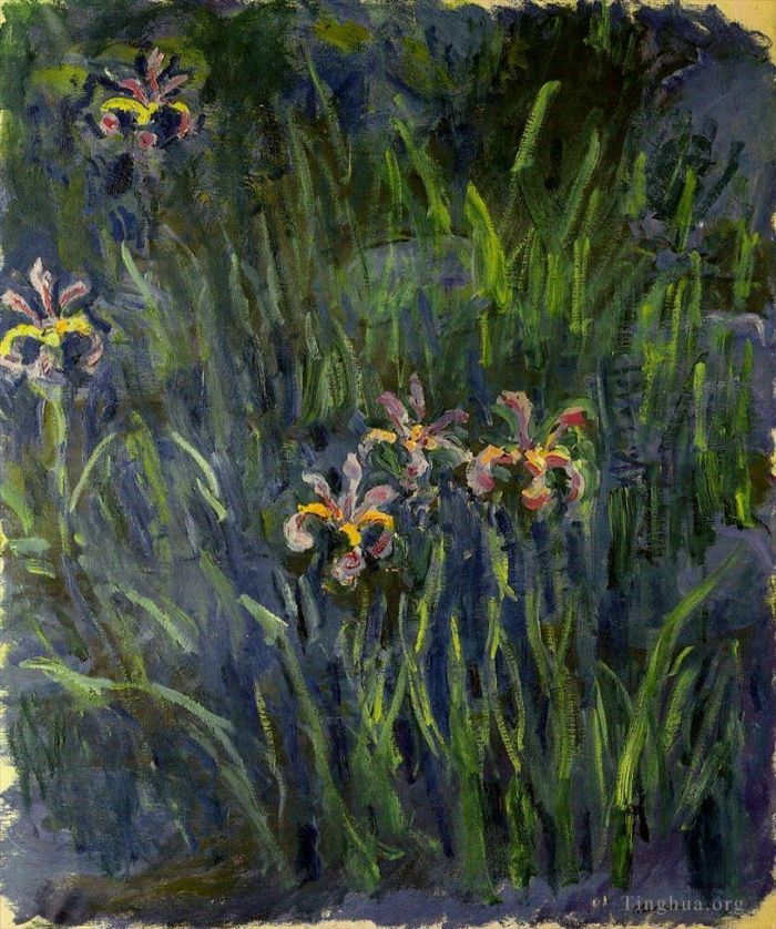 Claude Monet Andere Malerei - Iris II