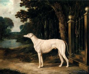 John Frederick Herring Sr Werk - Vandeau Ein weißer Windhund