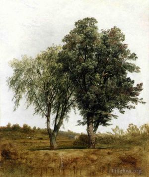 John Frederick Kensett Werk - Eine Studie über Bäume