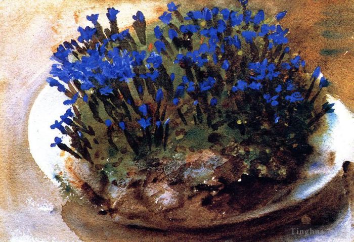 John Singer Sargent Andere Malerei - Blaue Enziane