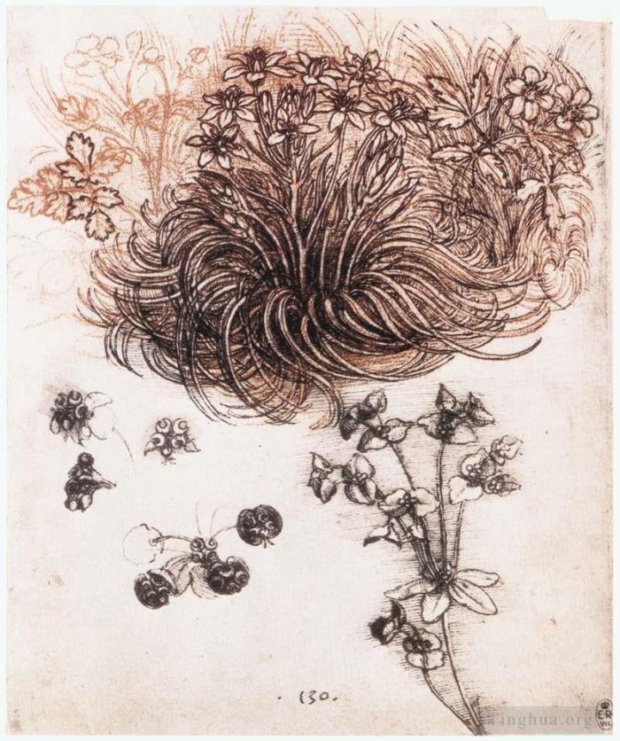 Leonardo da Vinci Andere Malerei - Stern von Bethlehem und andere Pflanzen