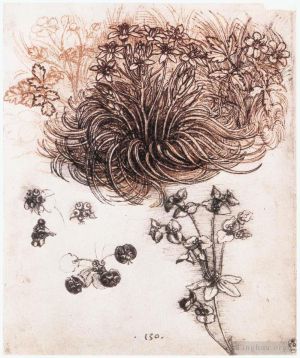 Leonardo da Vinci Werk - Stern von Bethlehem und andere Pflanzen