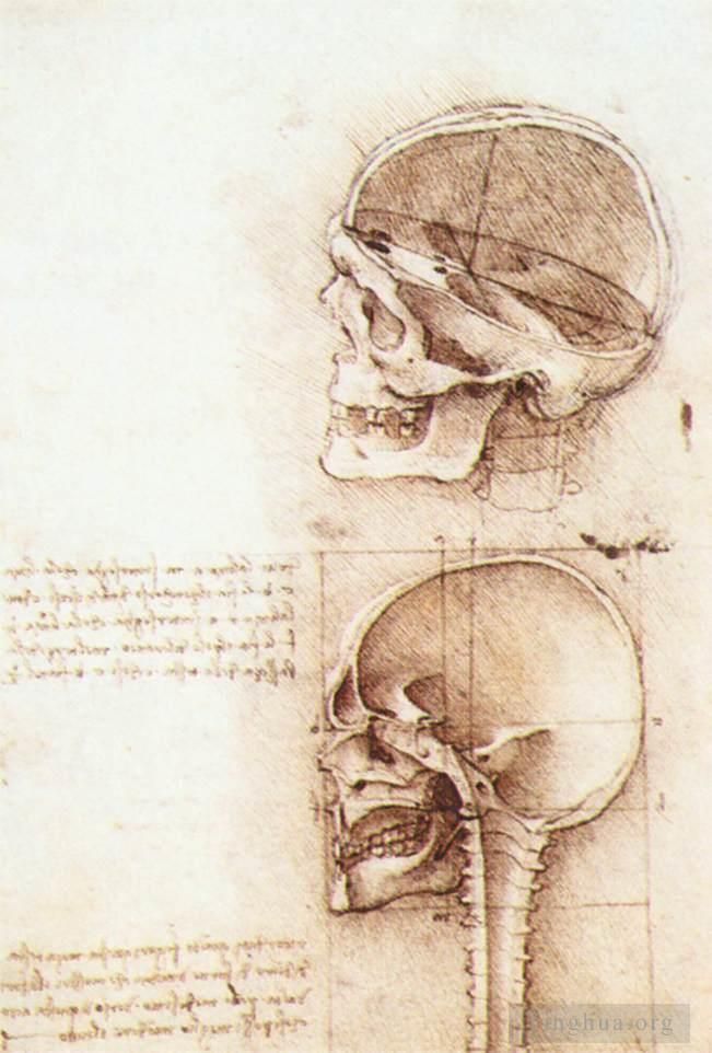 Leonardo da Vinci Andere Malerei - Studien des menschlichen Schädels