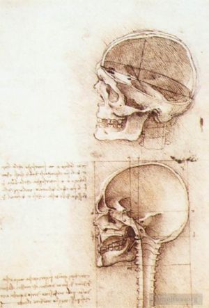 Leonardo da Vinci Werk - Studien des menschlichen Schädels