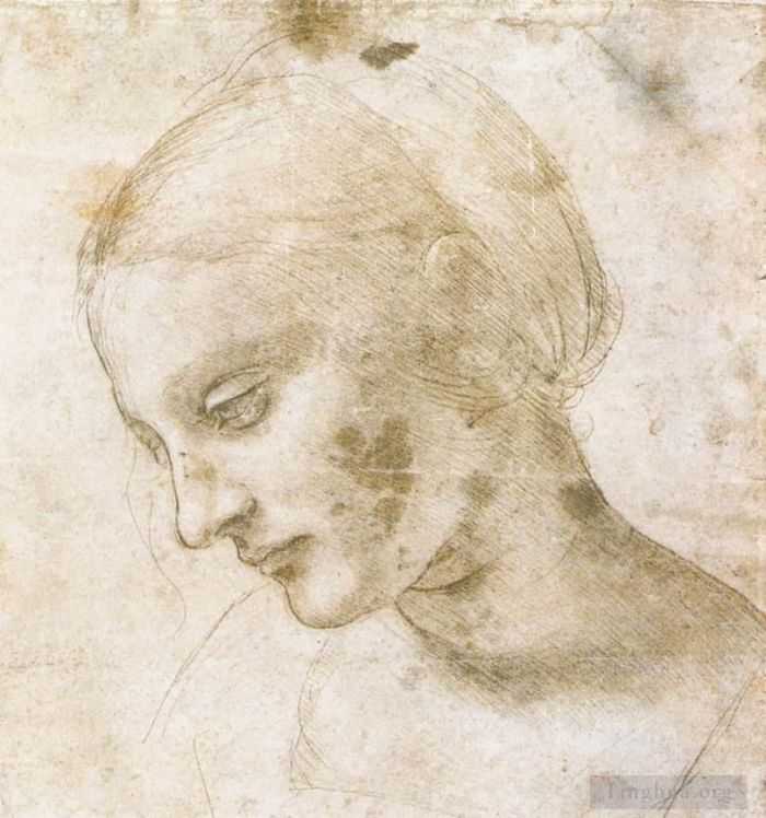 Leonardo da Vinci Andere Malerei - Studie über den Kopf einer Frau