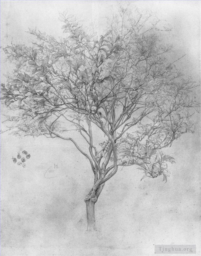 Frederic Leighton Andere Malerei - Studie eines Zitronenbaums
