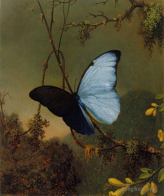 Martin Johnson Heade Ölgemälde - Blauer Morpho-Schmetterling