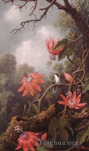 Martin Johnson Heade Ölgemälde - Kolibri und Passionsblumen