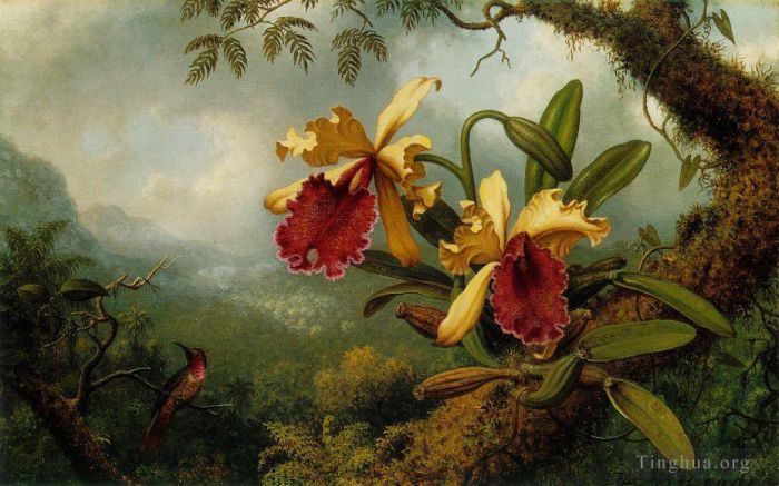 Martin Johnson Heade Ölgemälde - Orchideen und Kolibri
