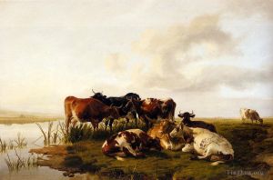 The Lowland Herd
