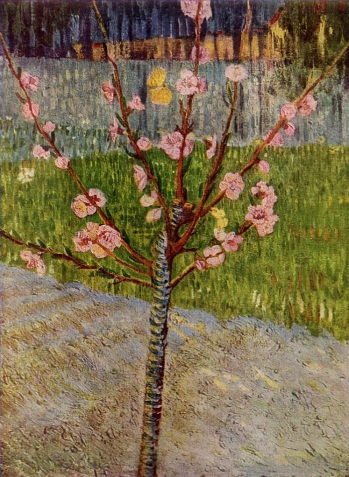 Vincent van Gogh Ölgemälde - Mandelbaum in Blüte