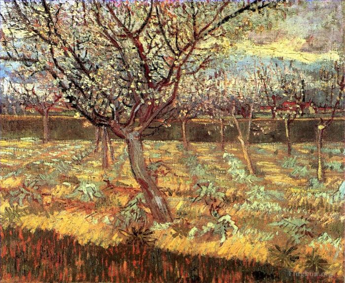 Vincent van Gogh Ölgemälde - Aprikosenbäume in Blüte