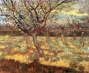 Vincent van Gogh Werk - Aprikosenbäume in Blüte