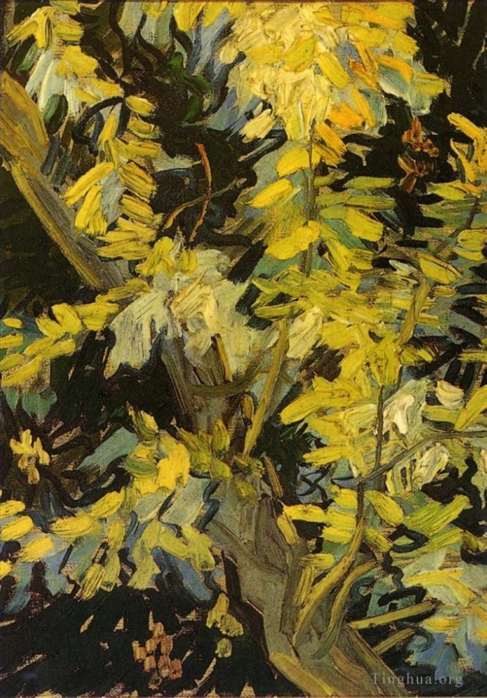 Vincent van Gogh Ölgemälde - Blühende Akazienzweige