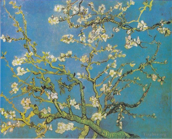 Vincent van Gogh Ölgemälde - Zweige mit Mandelblüte 2