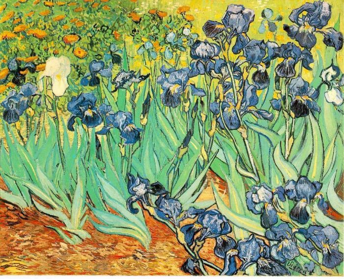 Vincent van Gogh Ölgemälde - Iris 2