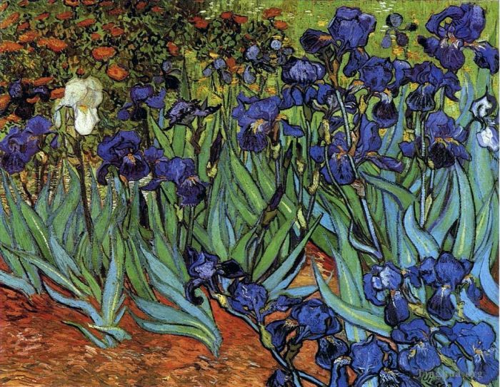 Vincent van Gogh Ölgemälde - Iris
